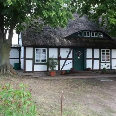 Damerow 1 Federow